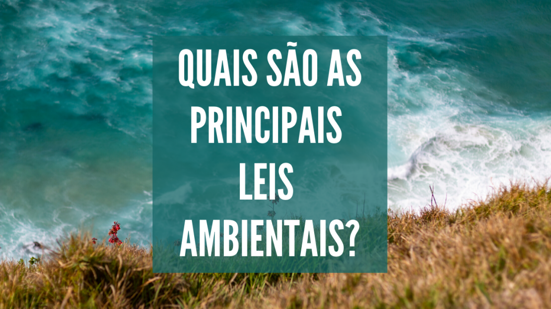 Principais leis ambientais RAÍZCON