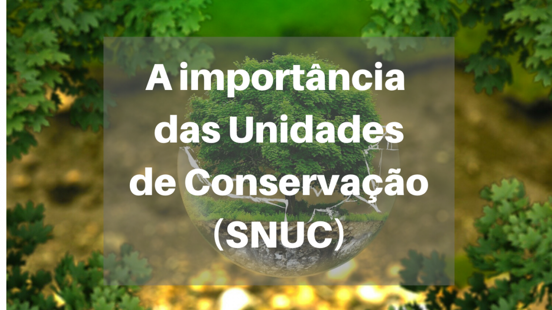 Introdução Às Unidades De Conservação - Conservation.Ufpr