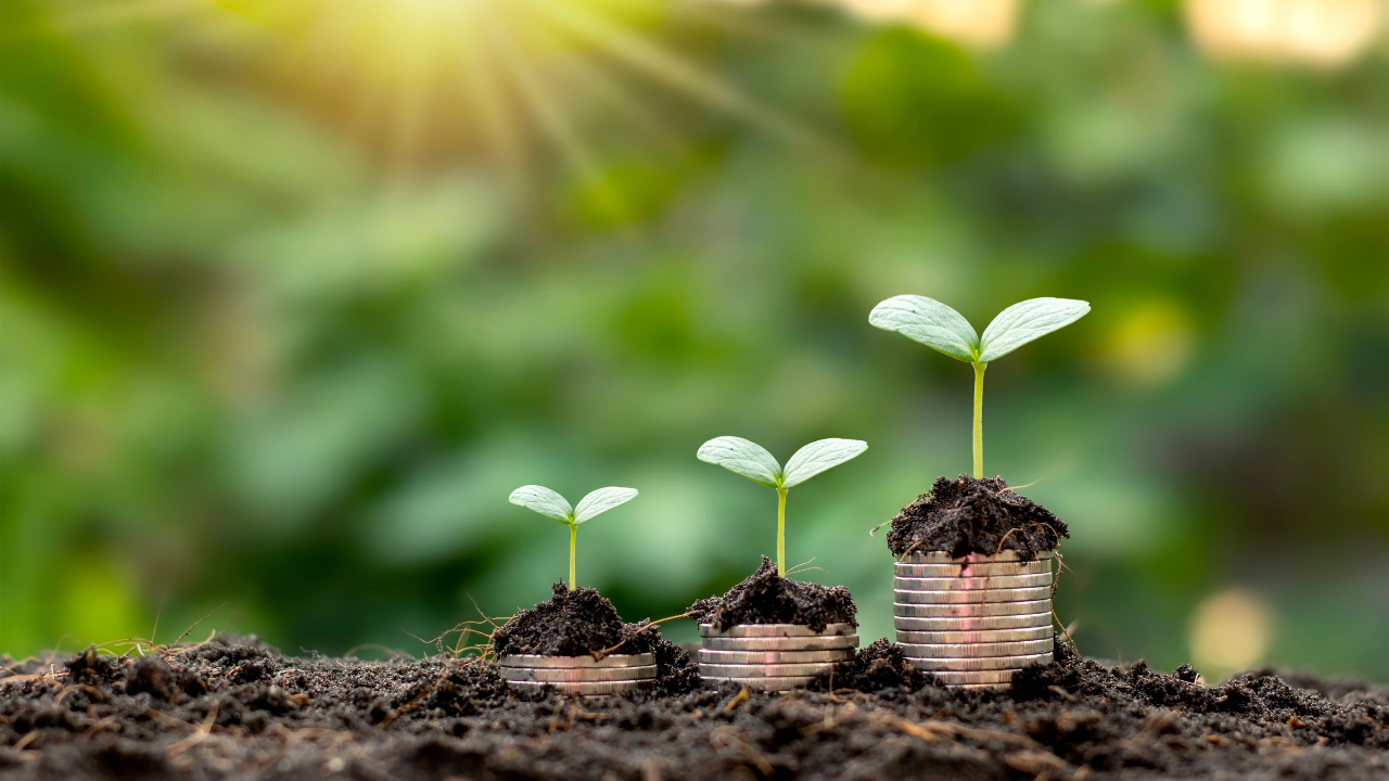 Serviços de Gestão Ambiental