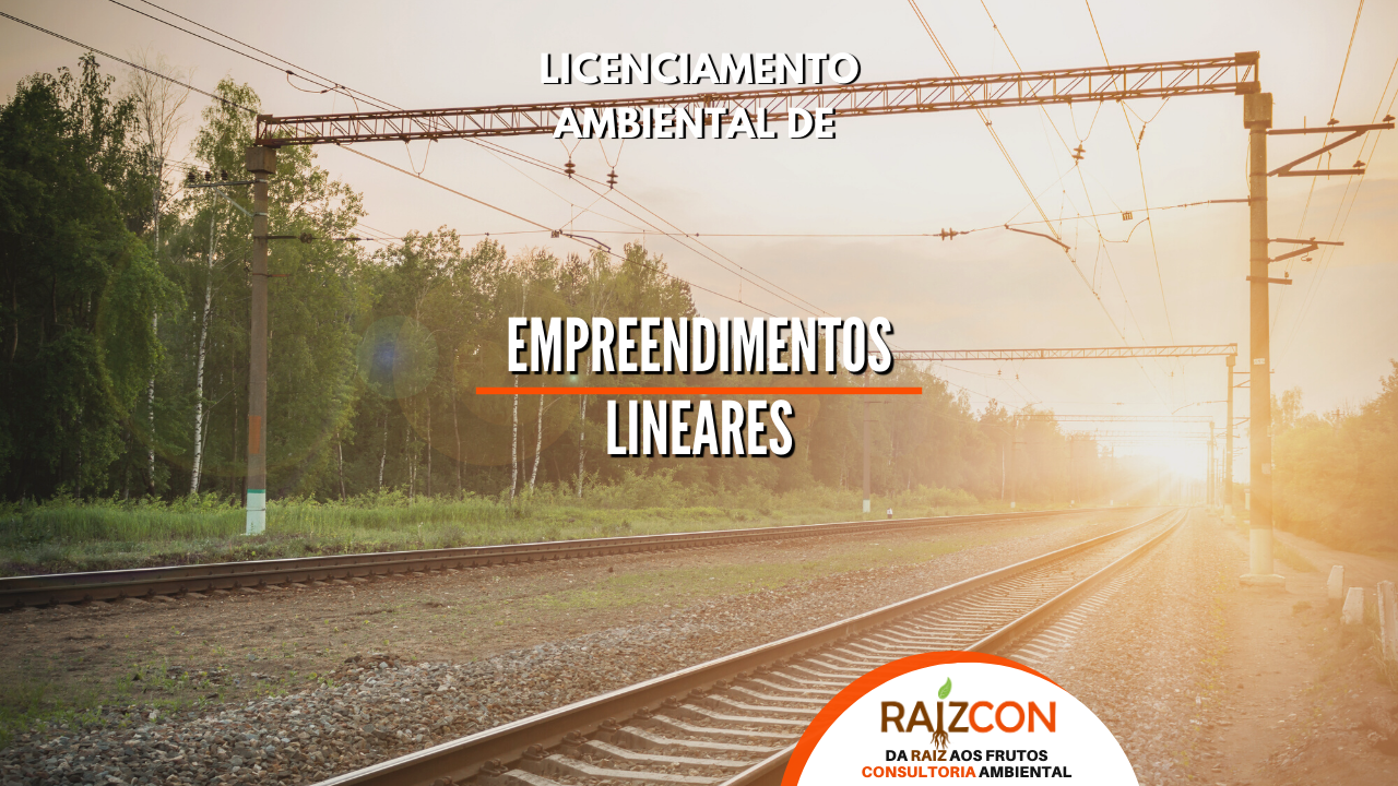 Empreendimentos lineares