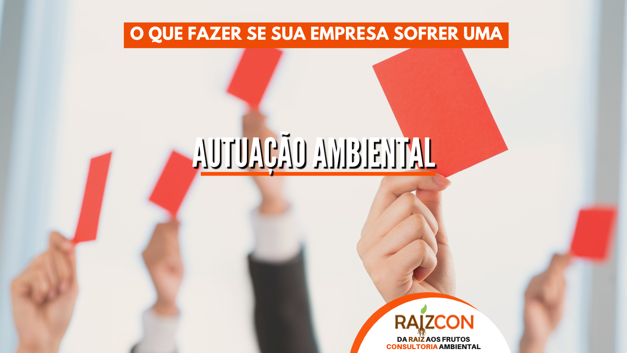 autuação ambiental