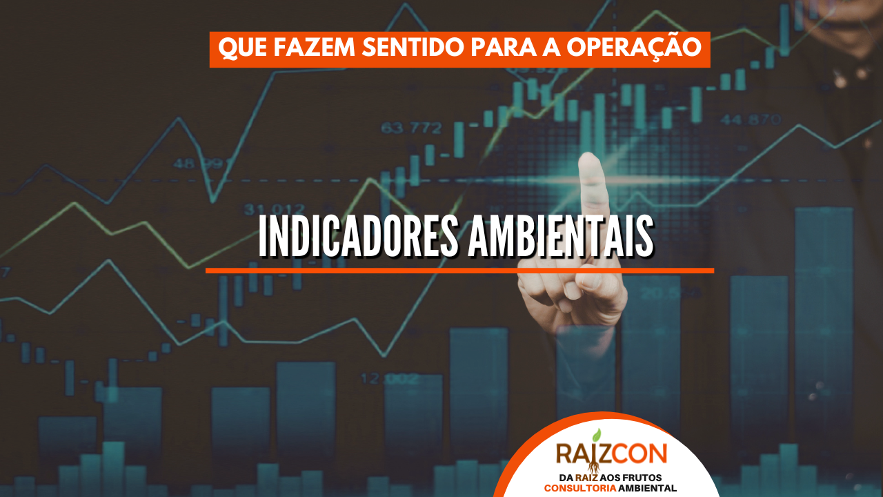 INDICADORES AMBIENTAIS